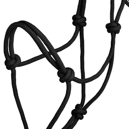 Cabezada cuerda anudada Pool's - Negro