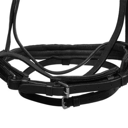 Testera bitless horse ball con riendas Umbria Equitazione - Negro