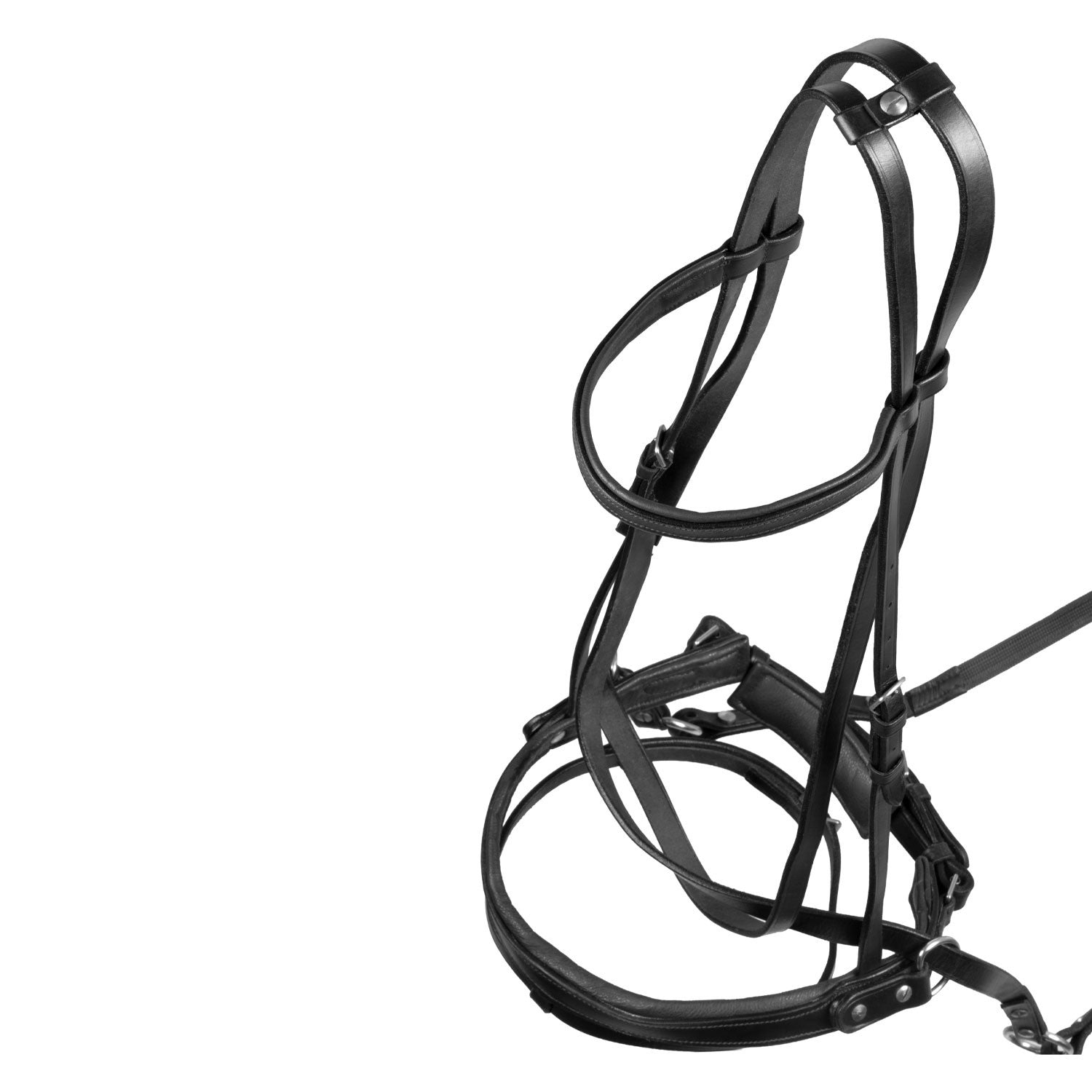 Testera bitless horse ball con riendas Umbria Equitazione - Negro