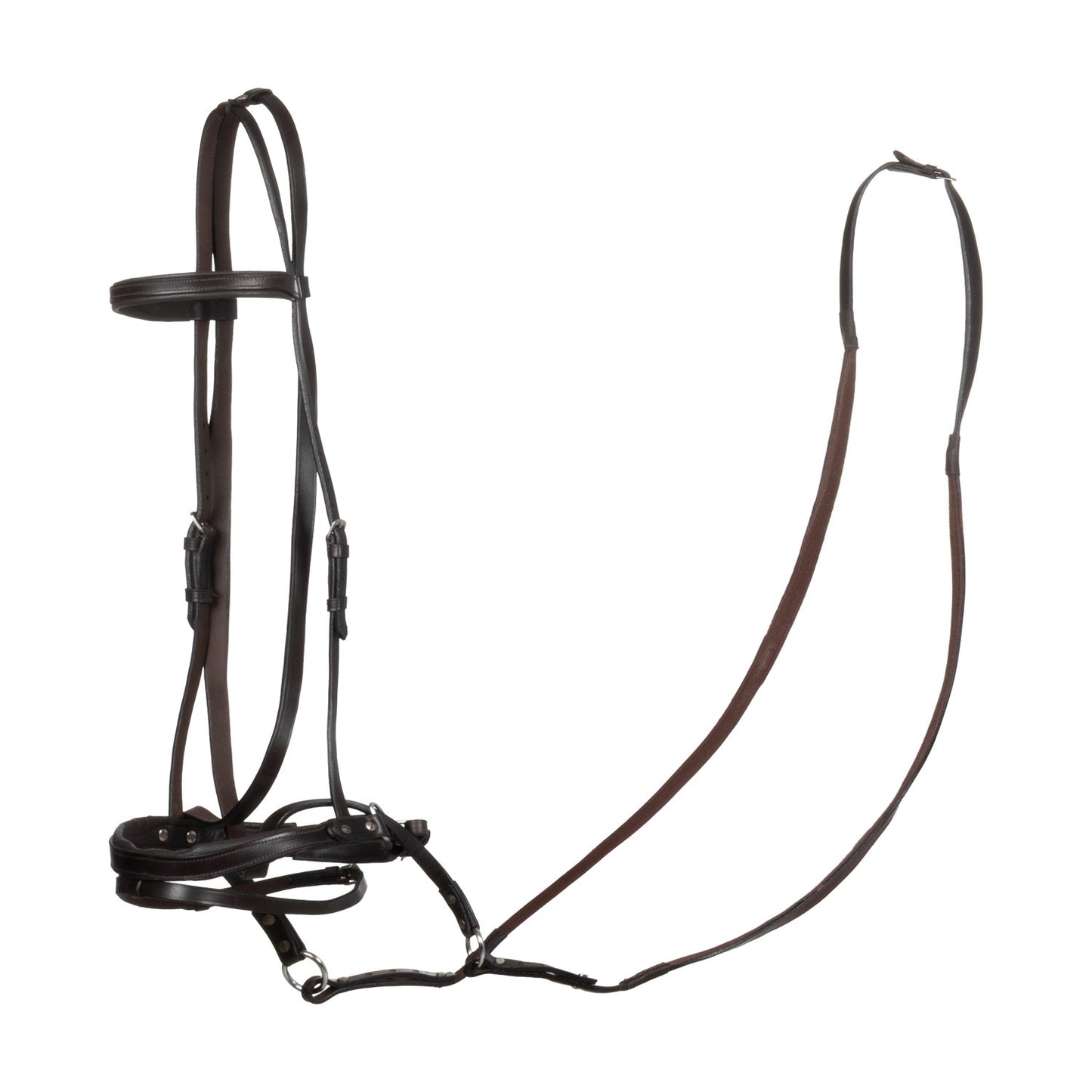 Testera bitless horse ball con riendas Umbria Equitazione
