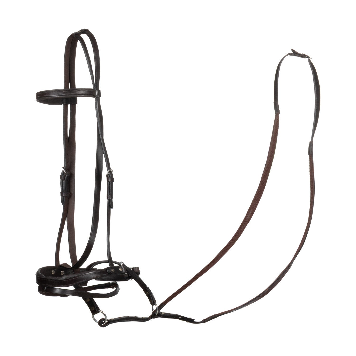 Testera bitless horse ball con riendas Umbria Equitazione