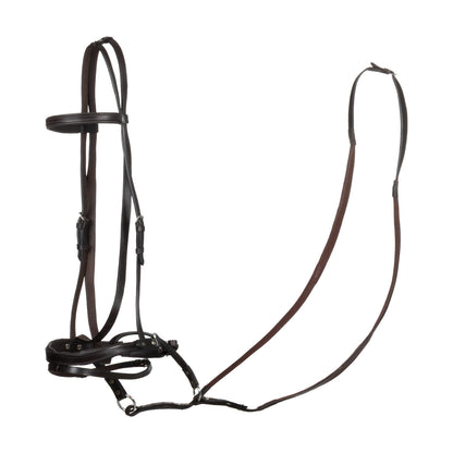 Testera bitless horse ball con riendas Umbria Equitazione