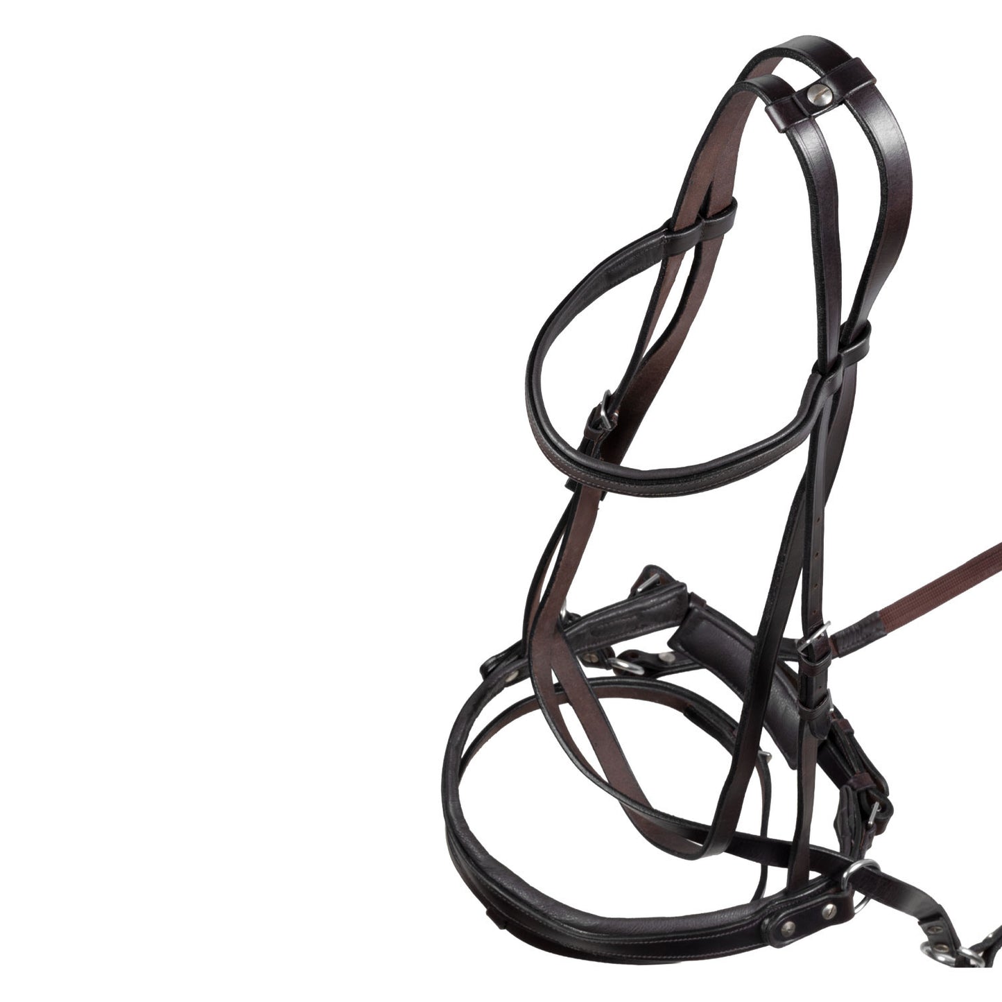 Testera bitless horse ball con riendas Umbria Equitazione - Marrón