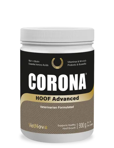 CORONA HOOF Advanced - Rincón del Valle