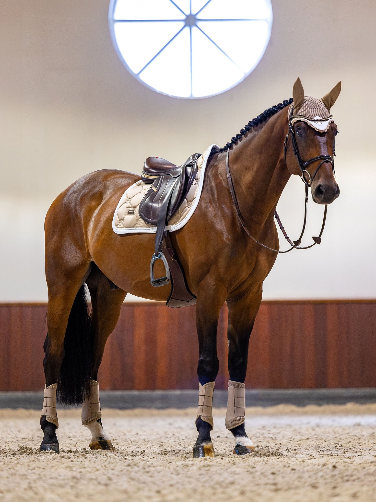 Ear Bonnet Equestrian Stockholm Ear Bonnet Sand detalle 7