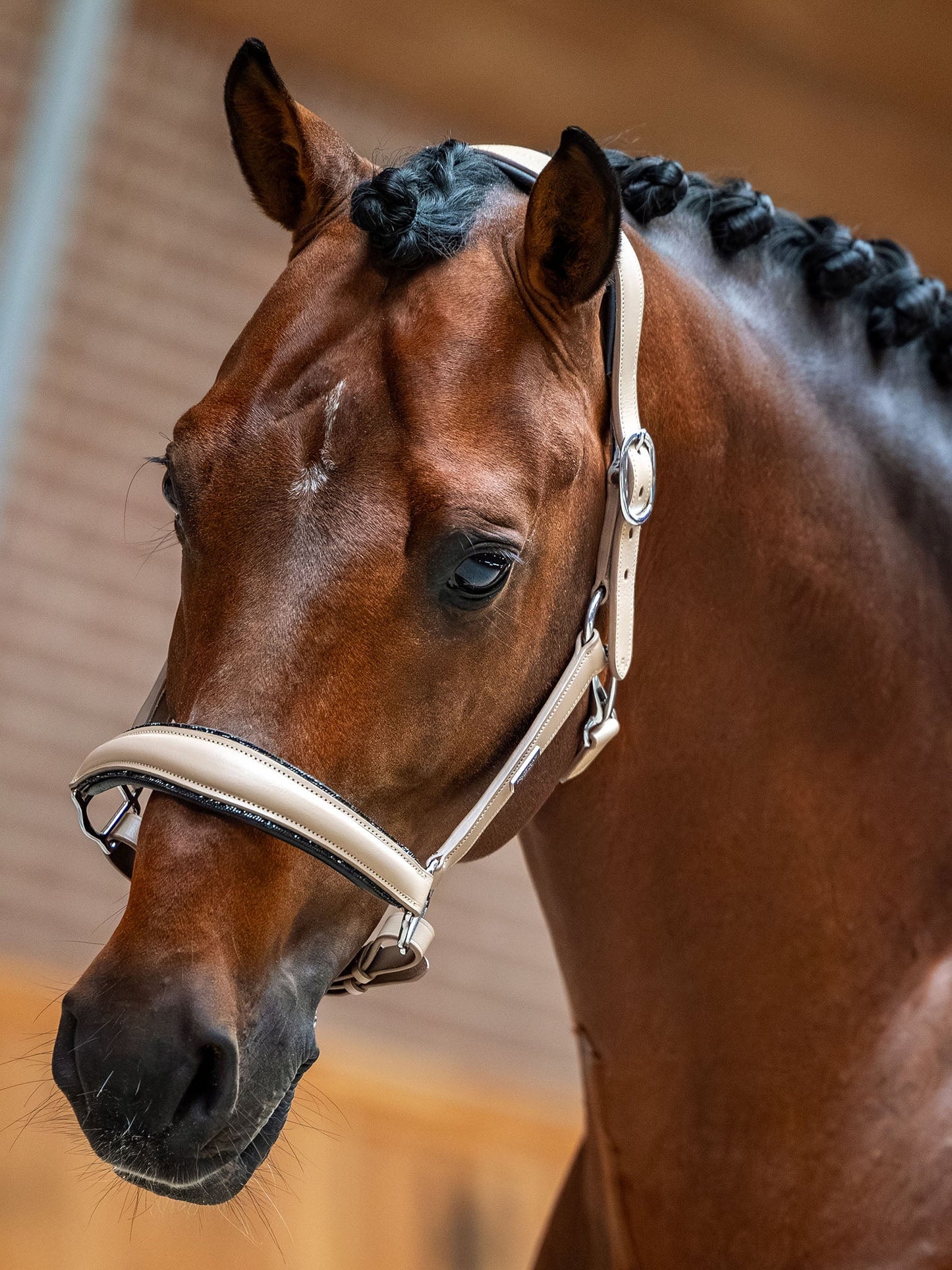 Glimmer Leather Anatomic Halter Equestrian Stockholm Anatomic Glimmer Leather detalle 4