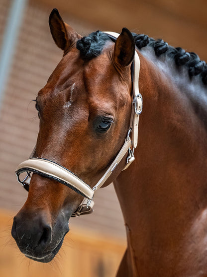 Glimmer Leather Anatomic Halter Equestrian Stockholm Anatomic Glimmer Leather detalle 4