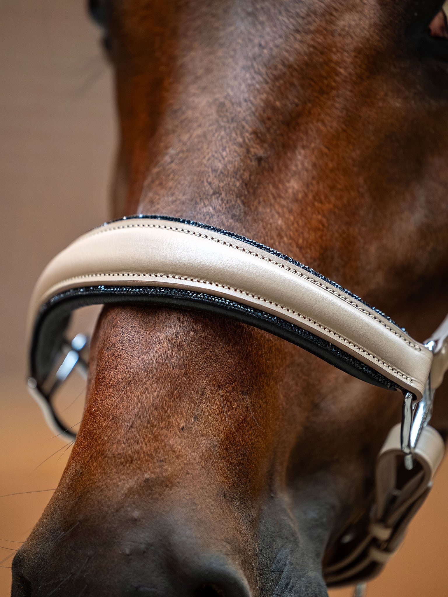 Glimmer Leather Anatomic Halter Equestrian Stockholm Anatomic Glimmer Leather detalle 5