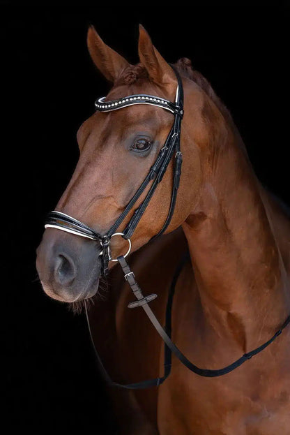 Cabezada -Carolin- HKM rienda simple para equitación - vista 5