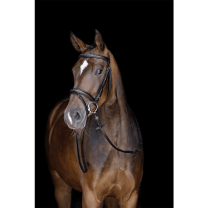 Cabezada -Jana- HKM para equitación - vista 3