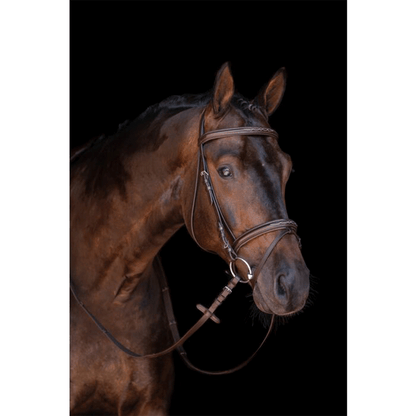 Cabezada -Jana- HKM para equitación - vista 4