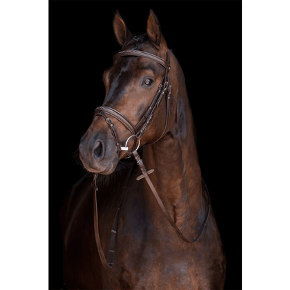 Cabezada -Jana- HKM para equitación - vista 5