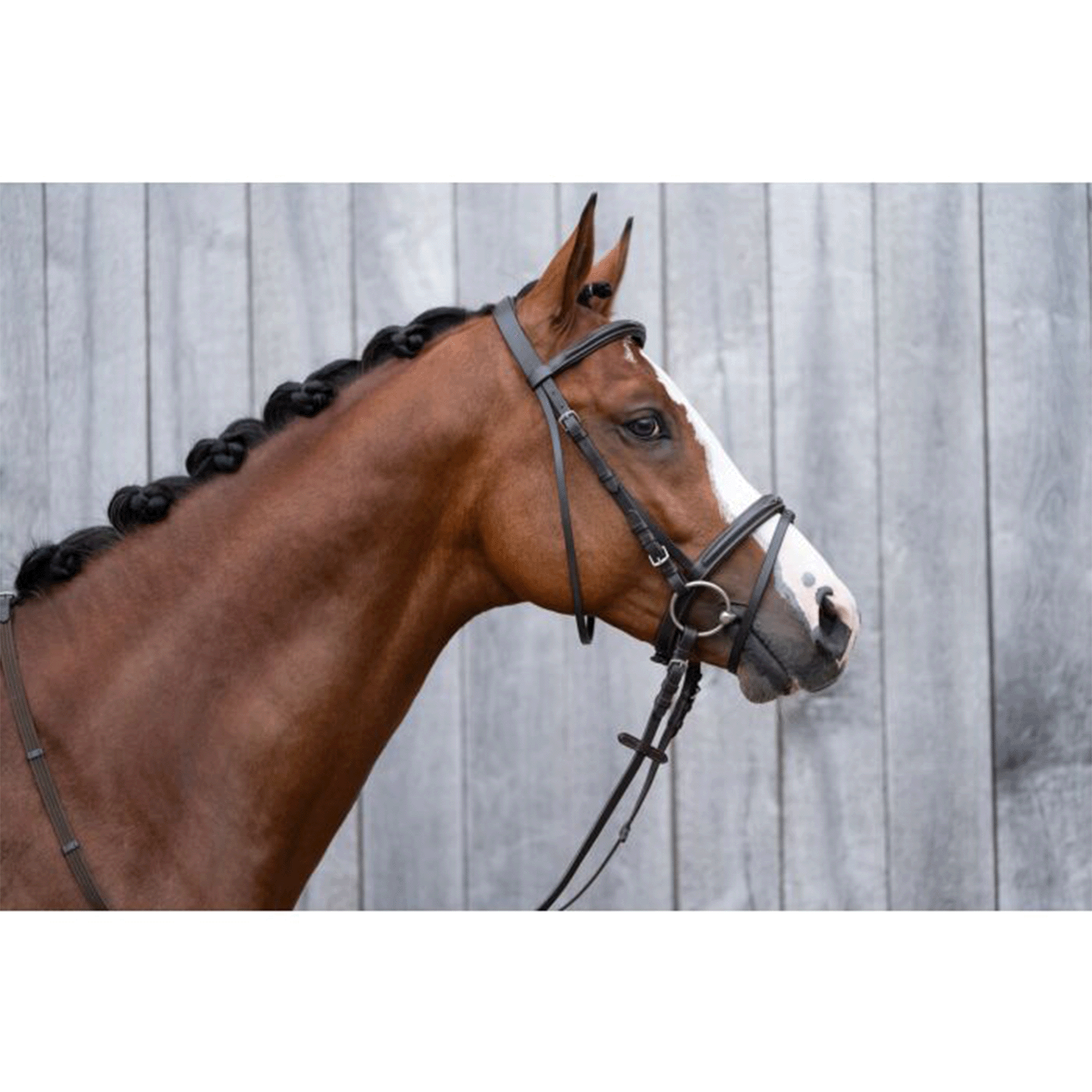 Cabezada -Jana- HKM para equitación - vista 6