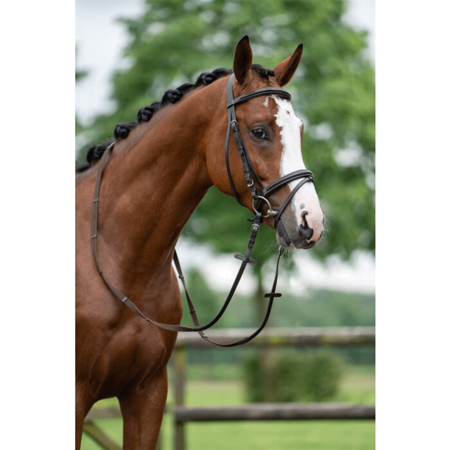 Cabezada -Jana- HKM para equitación - vista 7