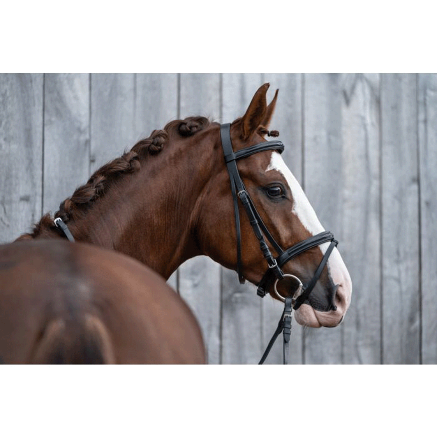 Cabezada -Jana- HKM para equitación - vista 8