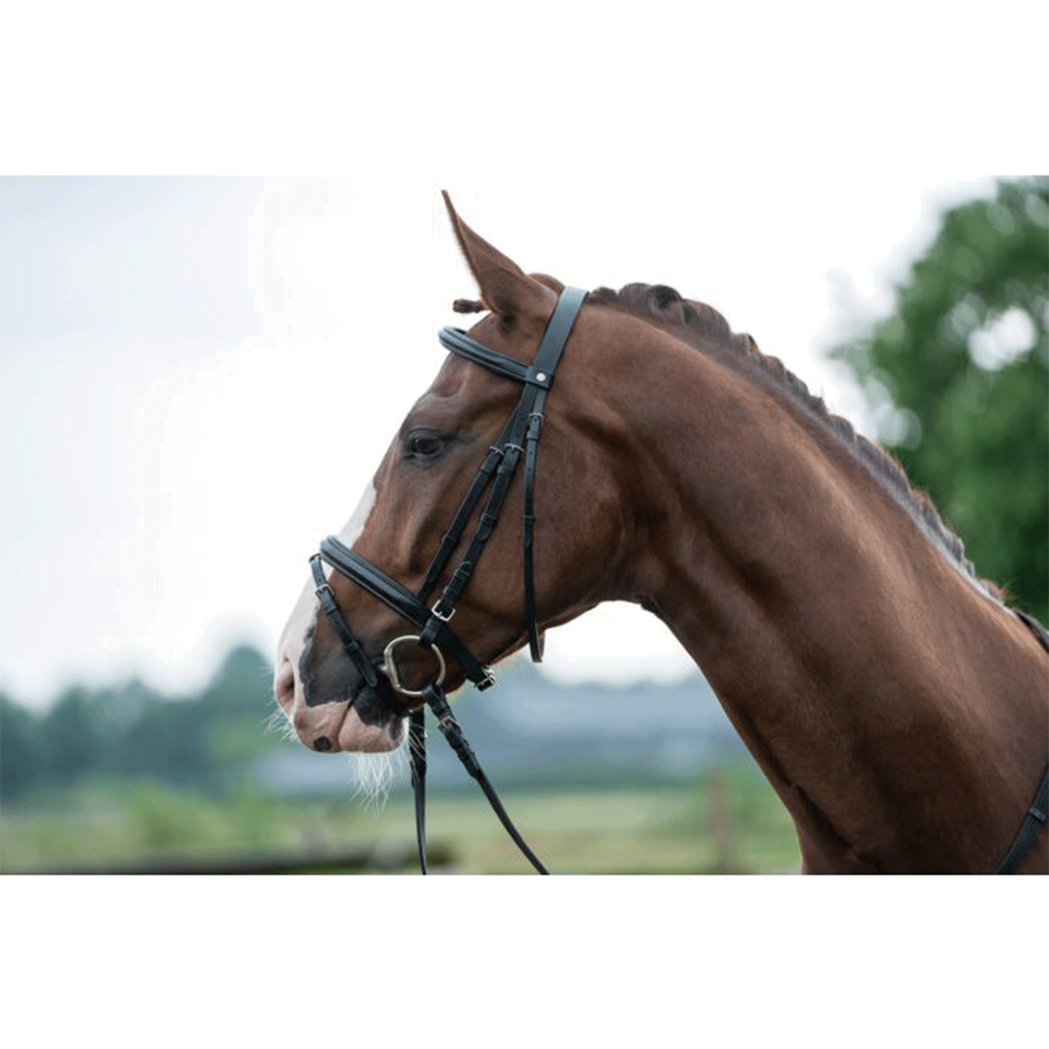 Cabezada -Jana- HKM para equitación - vista 9