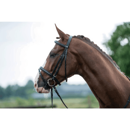 Cabezada -Jana- HKM para equitación - vista 9