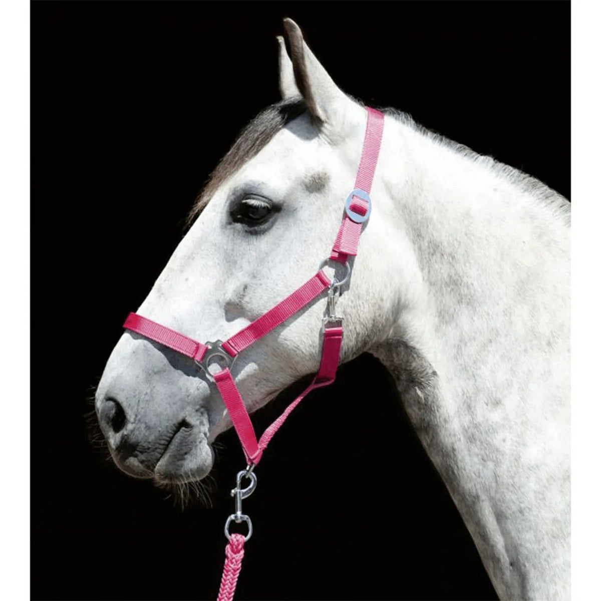 Cabezada -Stars Economy Softice- HKM para equitación - vista 3