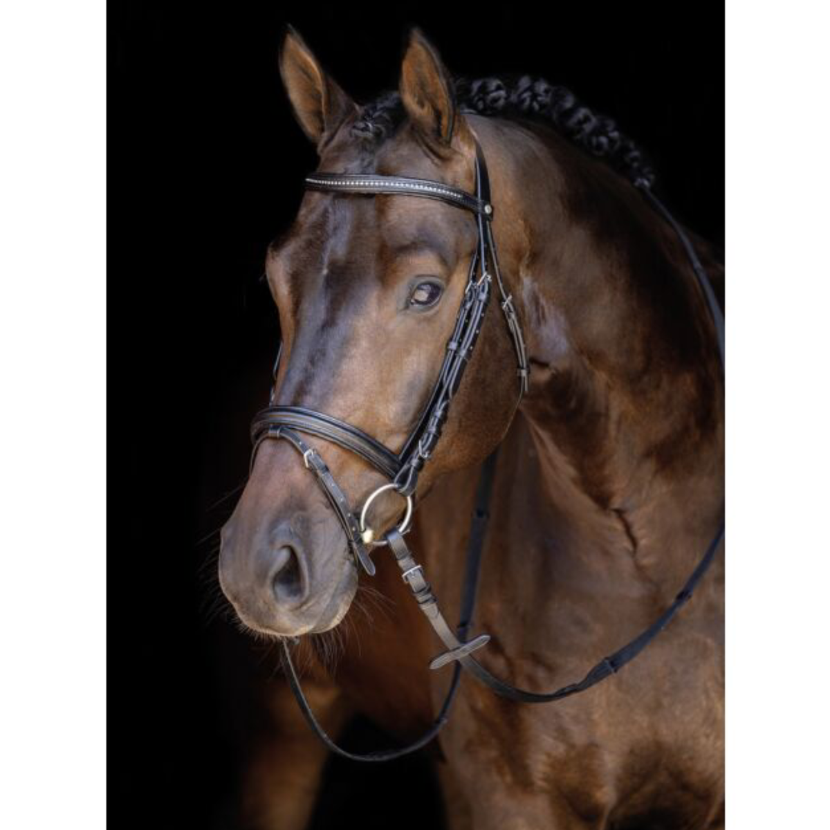 Cabezada Inglesa -Economic- HKM para equitación - vista 4