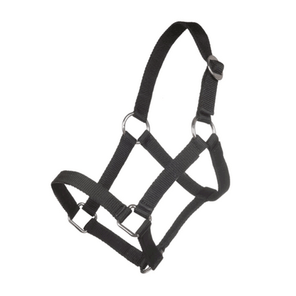 Cabezada de cuadra Mini-Shetty HKM para equitación