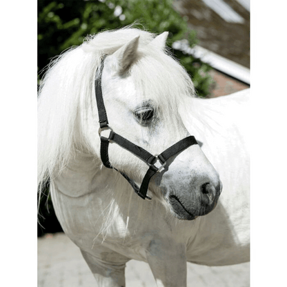 Cabezada de cuadra Mini-Shetty HKM para equitación - vista 2