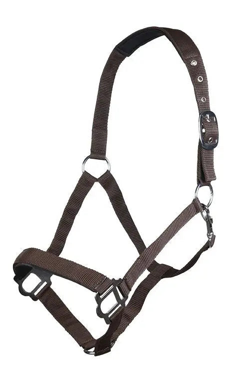 Cabezada de Cuadra Sydney Style HKM para equitación - vista 5