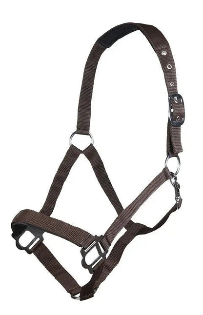 Cabezada de Cuadra Sydney Style HKM para equitación - vista 5