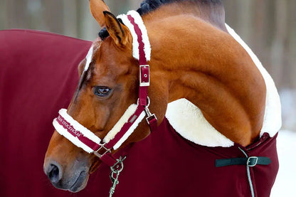 Cabezada de Cuadra y Ramal Bordeaux Equestrian Stockholm-Rincón del Valle
