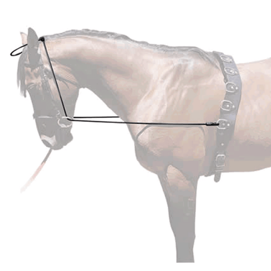 Accesorio ecuestre Chambón HH Elástico Hispano Hípica para equitación