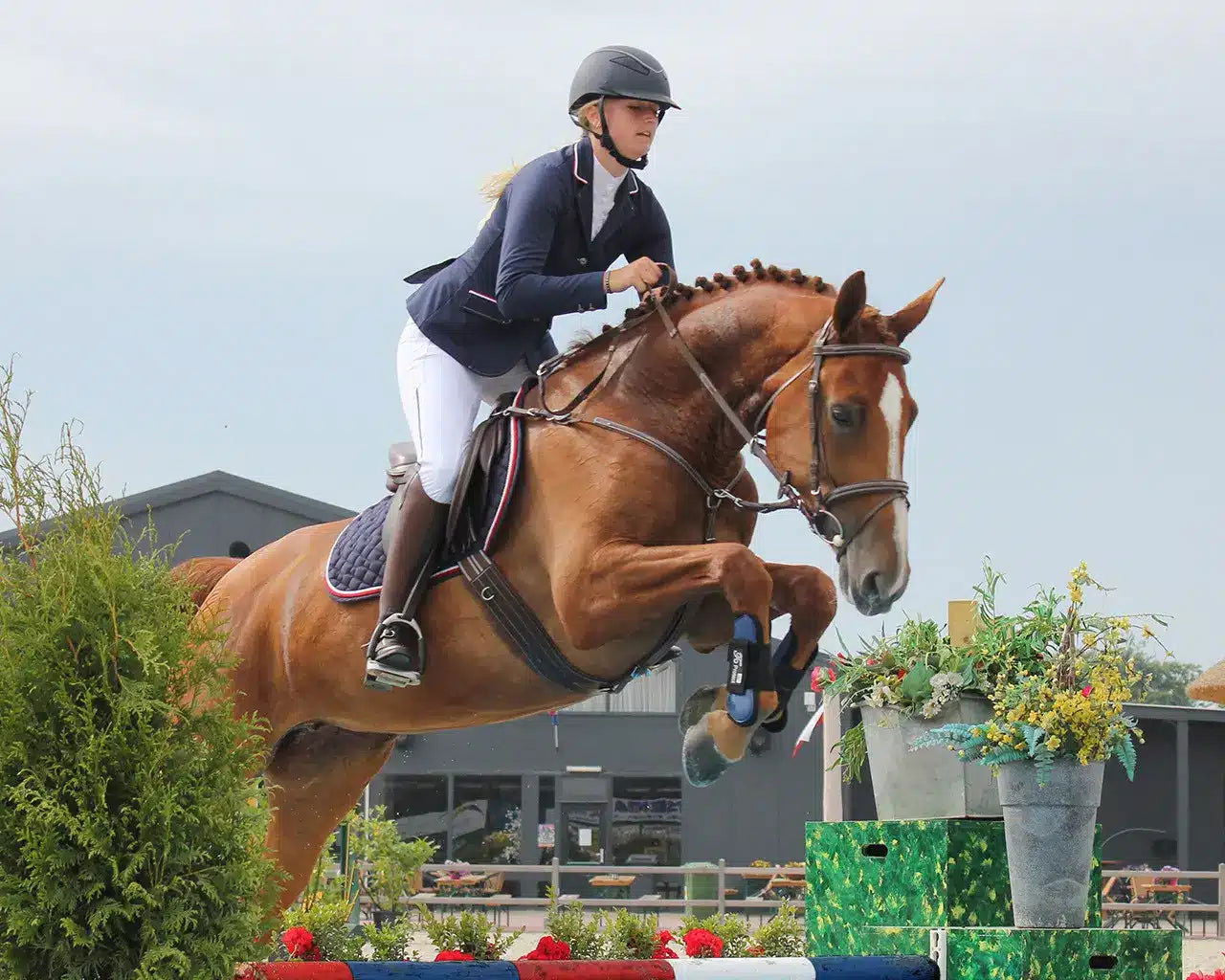 Chaqueta de competición Coco QHP para equitación - vista 3