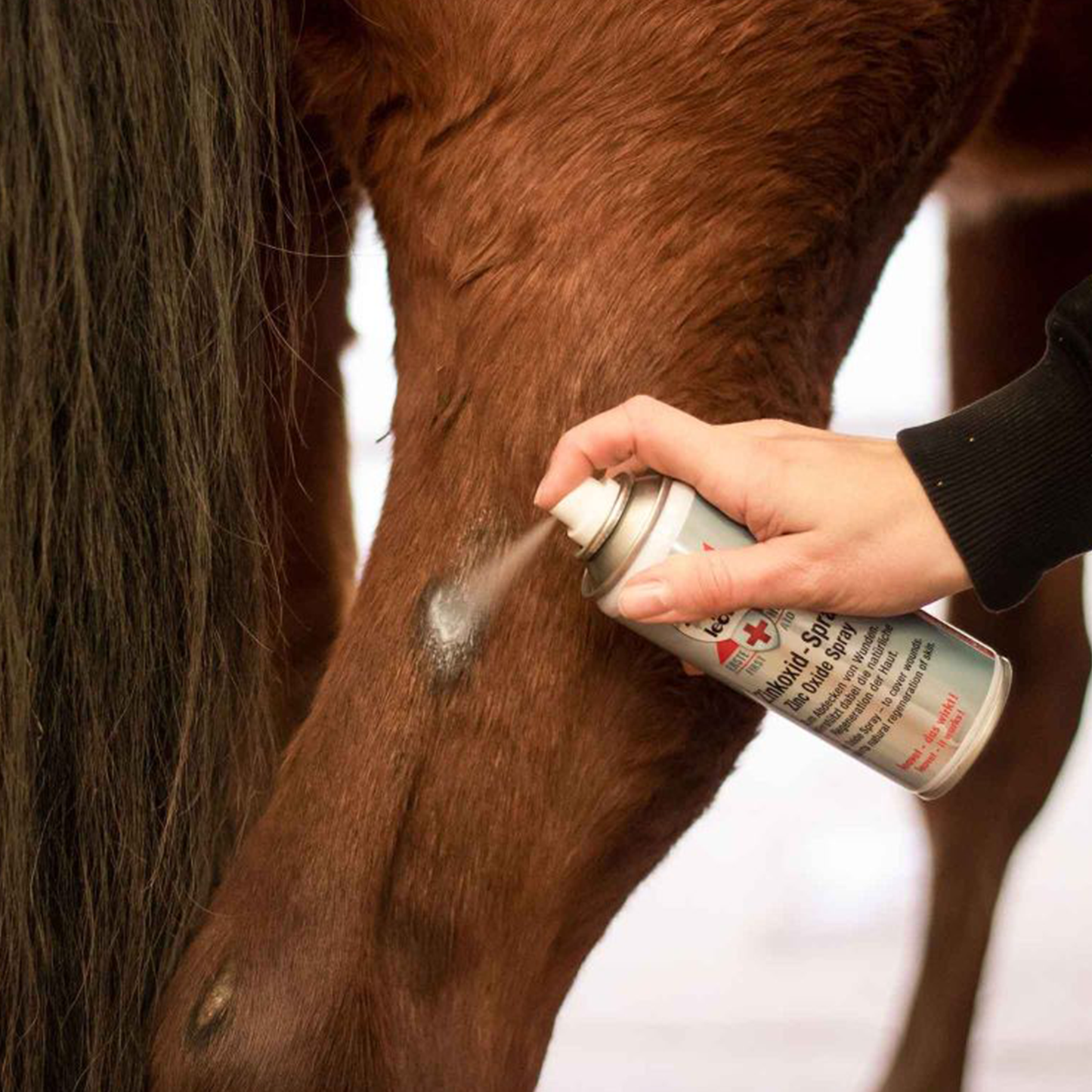 Cicatrizador Leovet First Aid Óxido De Zinc En Spray