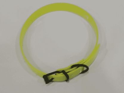 Collar perro amarillo