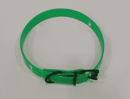 Collar perro verde