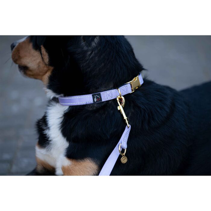 Collar Hkm Para Perros Ida Nylon - Rincón del Valle