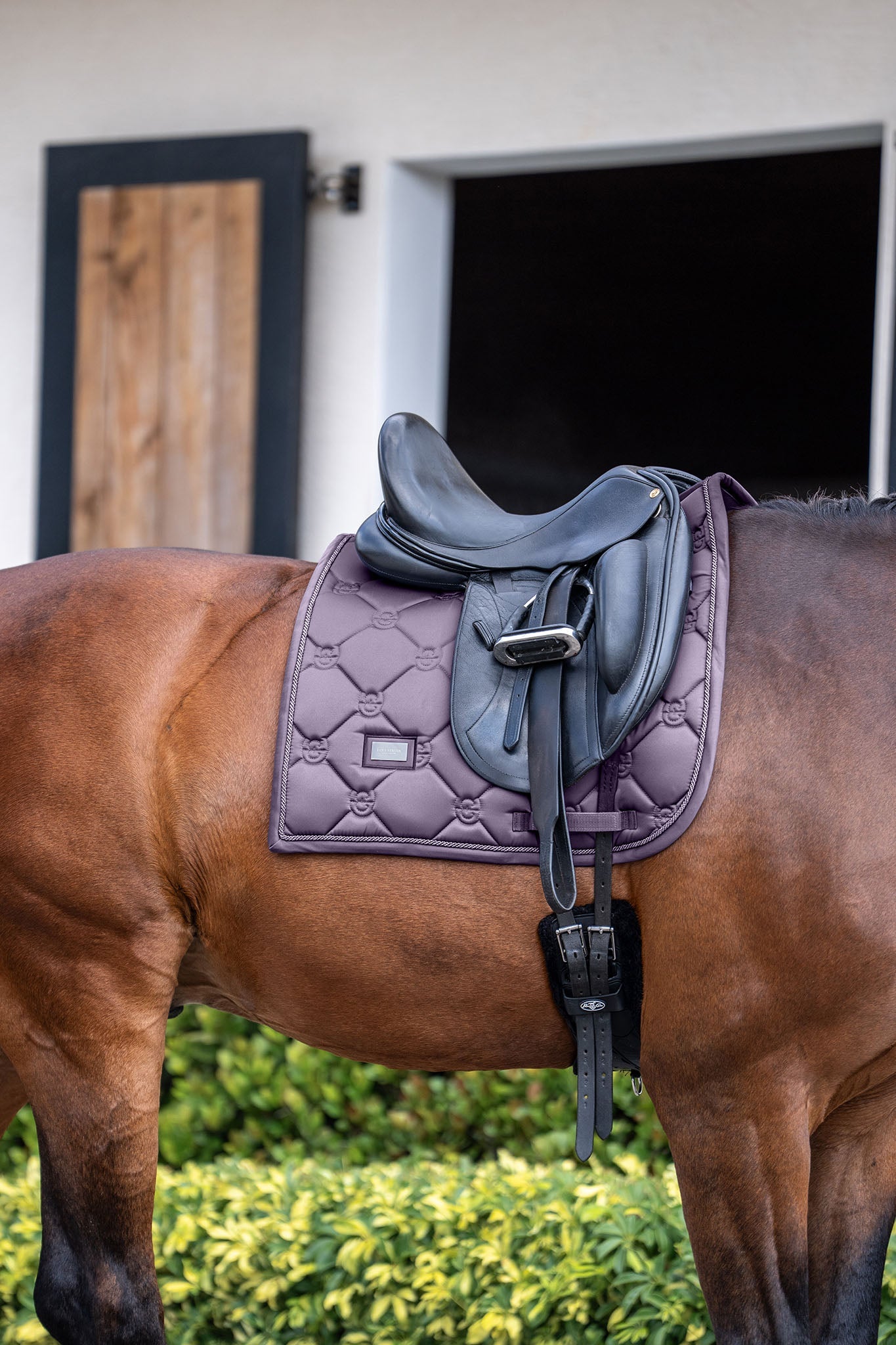 Dressage Saddle Pads Equestrian Stockholm Dressage Saddle Pad Dark Violet detalle 2