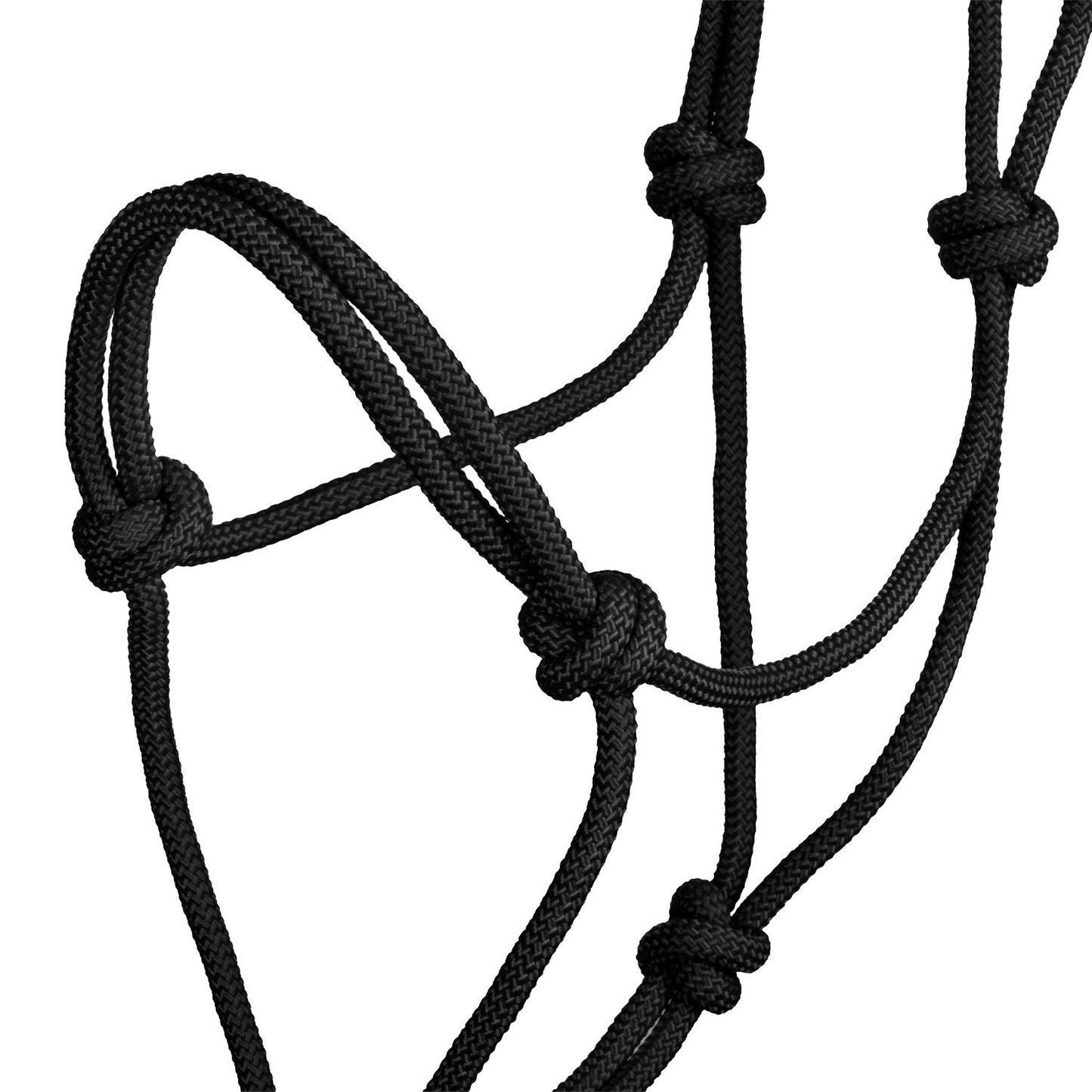 Cabezada cuerda anudada soft control A1706006-07 Pool's - Negro