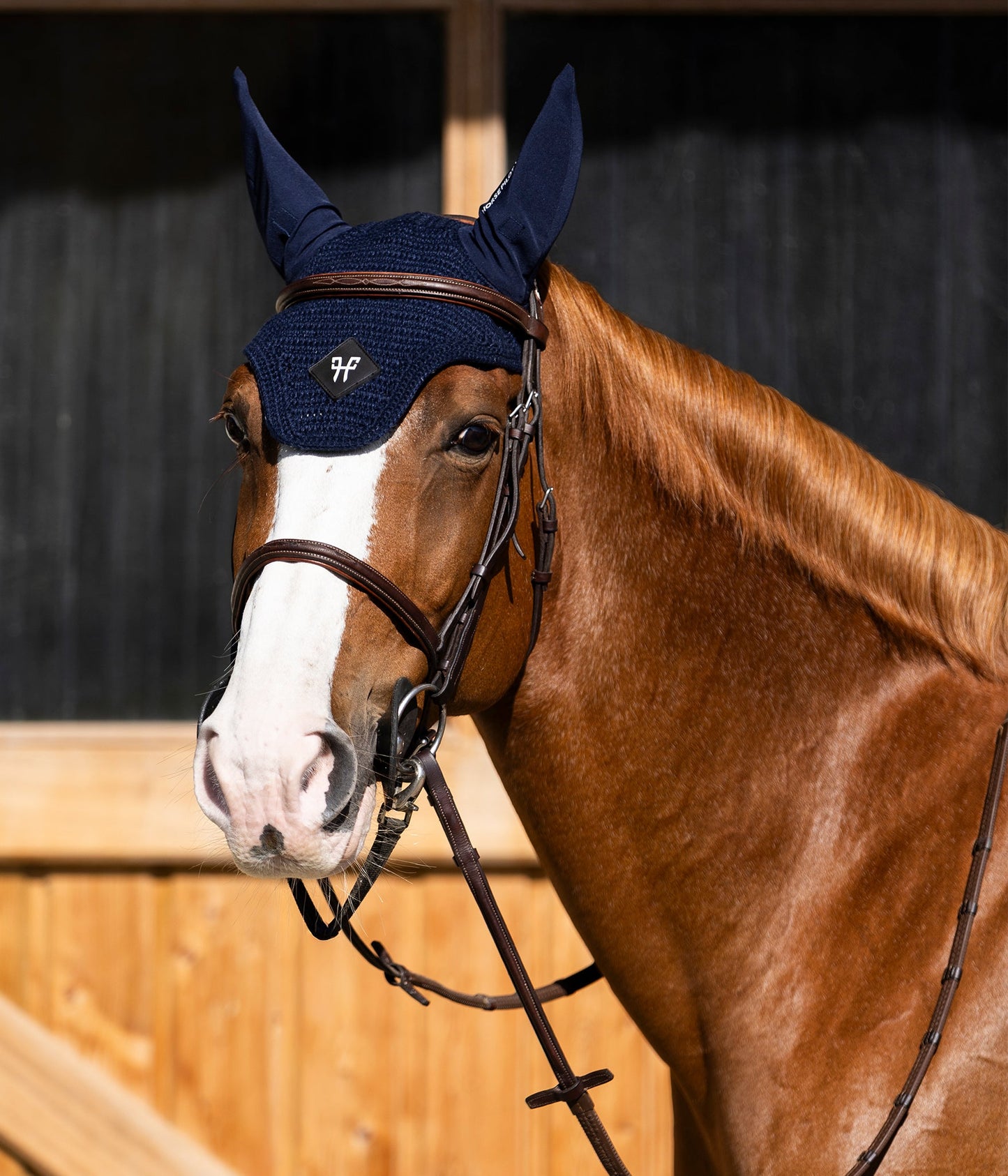 Orejera Noise-Reducing Fly/Ear Bonnet con Removable Ear Lining Horse Pilot para equitación - vista 4