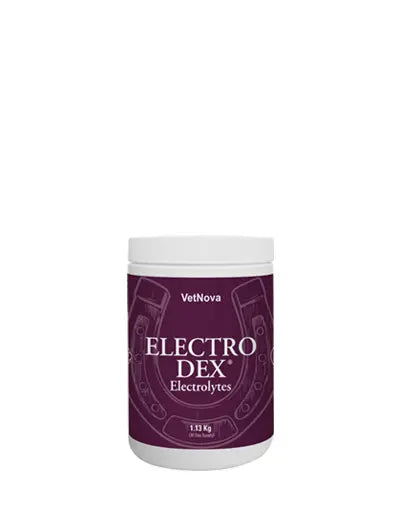 ELECTRO DEX - Rincón del Valle