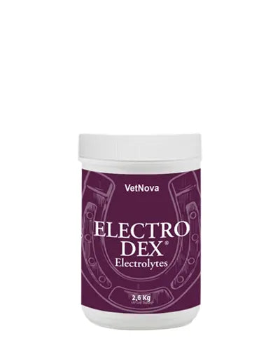 ELECTRO DEX - Rincón del Valle