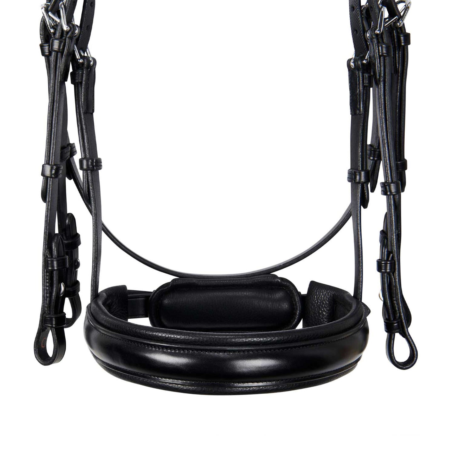 Brida de doma de cuero sin riendas Equestro - Negro