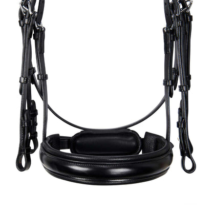 Brida de doma de cuero sin riendas Equestro - Negro