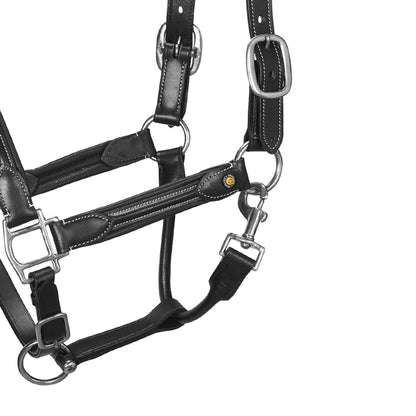 Cabezada de cuero suave hebillas resistentes NUEVA Equestro - Negro