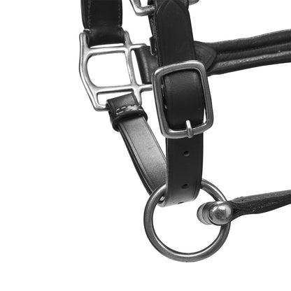 Cabezada de cuero suave hebillas resistentes NUEVA Equestro - Negro
