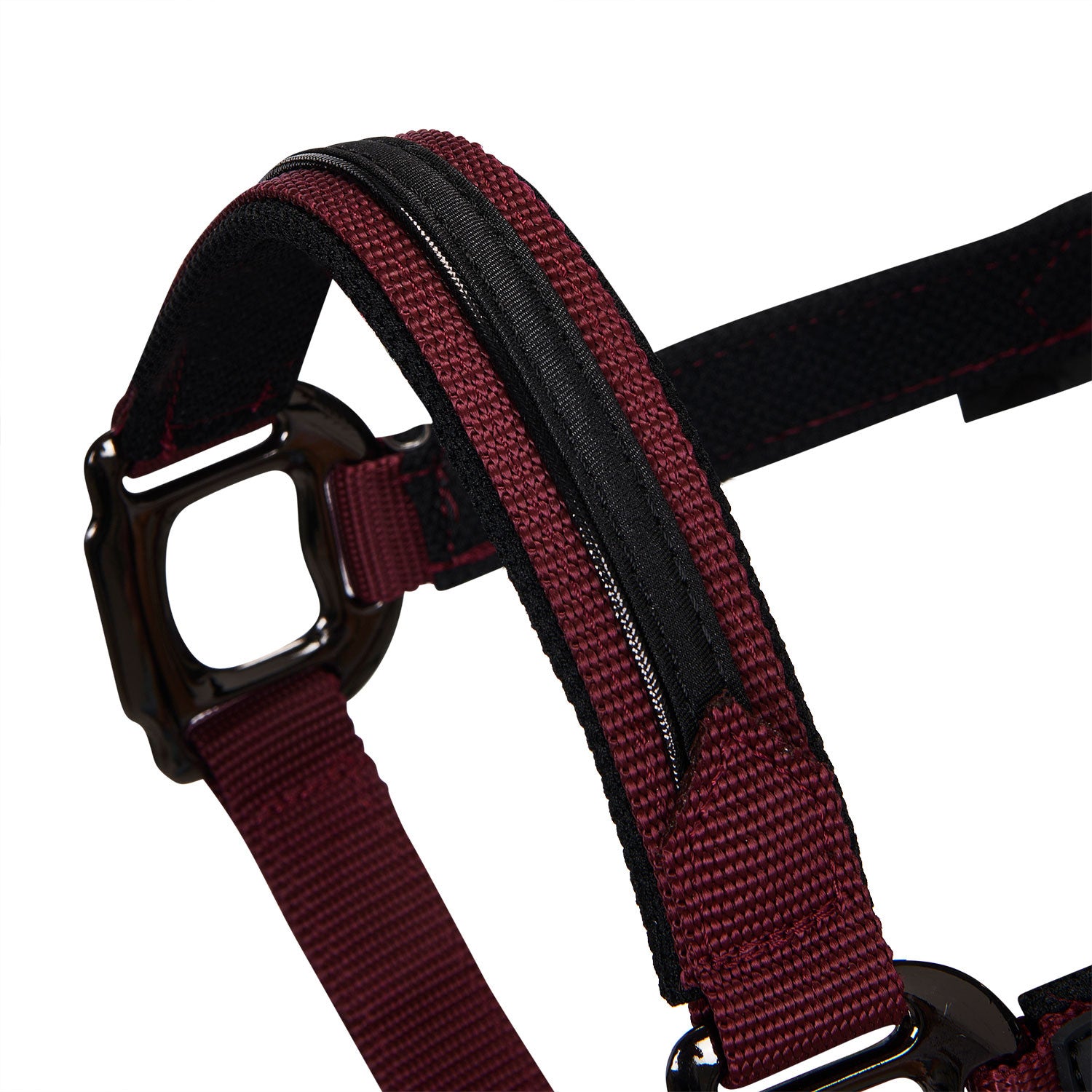 Cabezada de felpa resistente Equestro - Burdeos