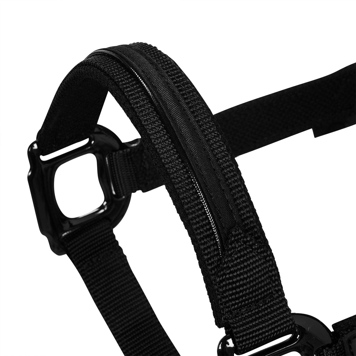 Cabezada de felpa resistente Equestro - Negro