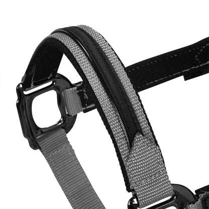 Cabezada de felpa resistente Equestro - Gris