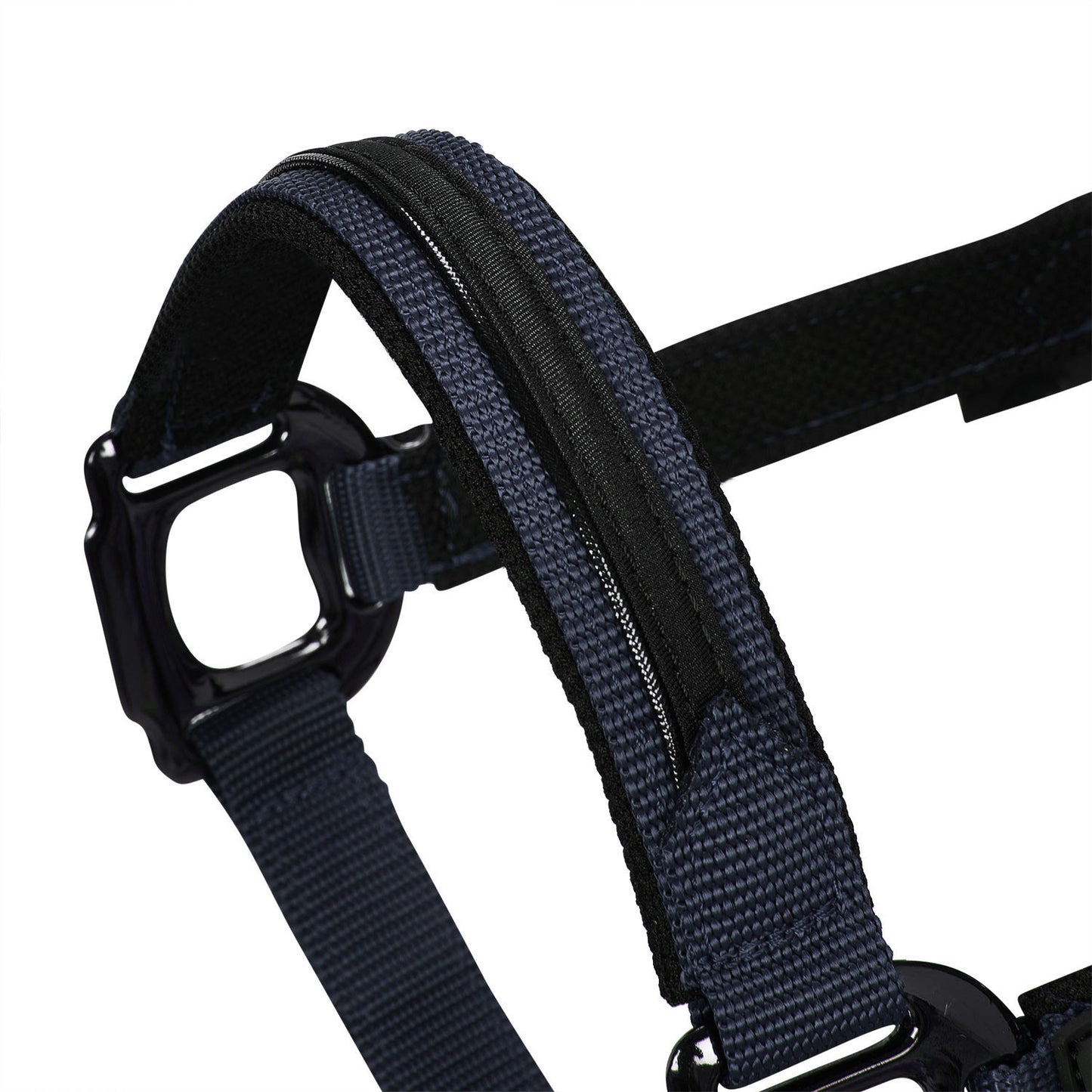 Cabezada de felpa resistente Equestro - Azul marino