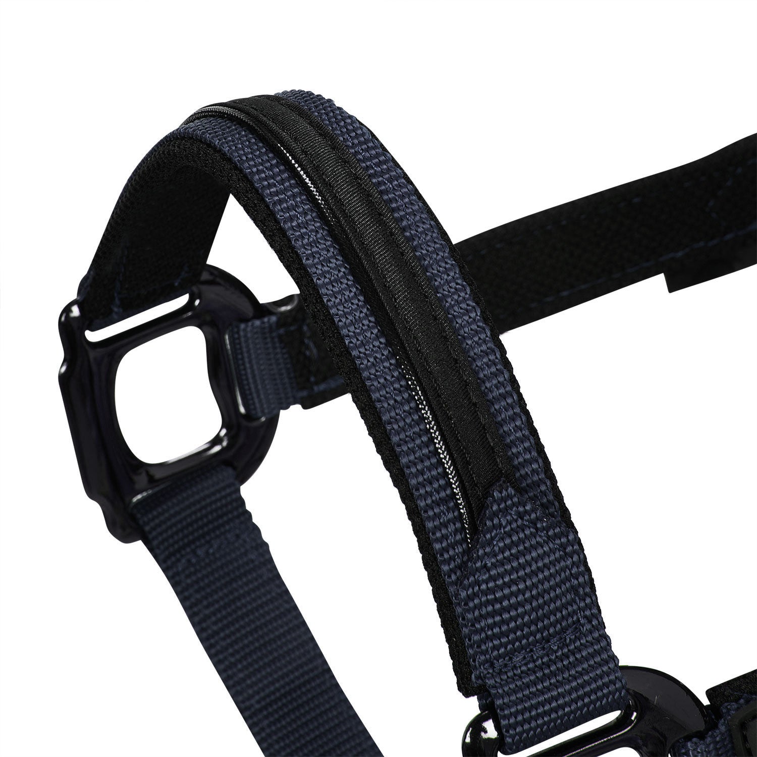 Cabezada de felpa resistente Equestro - Azul marino