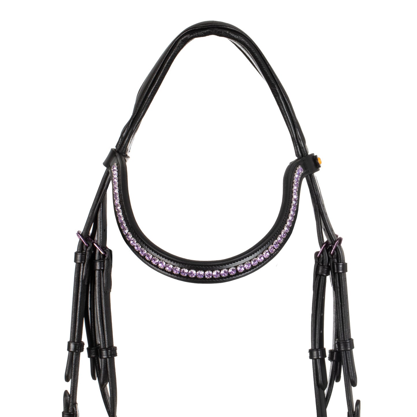 Brida anatómica negra de cuero Equestro - Negro