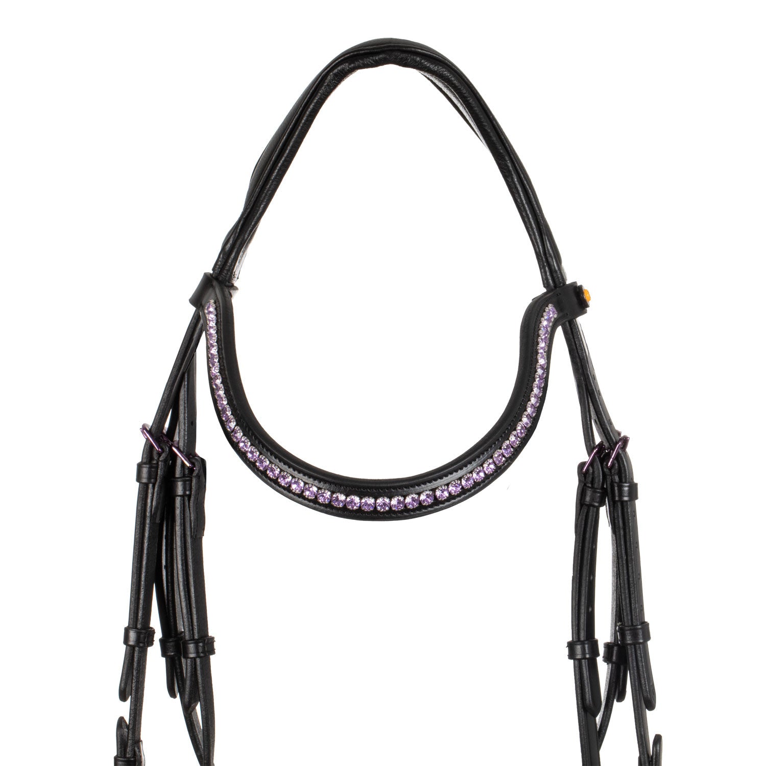 Brida anatómica negra de cuero Equestro - Negro